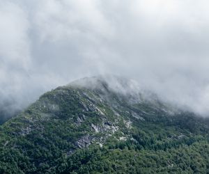 Домен cosmeticsforyou.ru продается