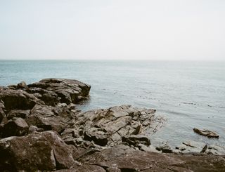 Домен cosmeticsforyou.ru продается