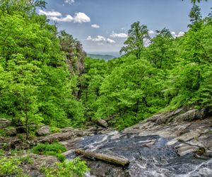 Домен cosmeticsforyou.ru продается